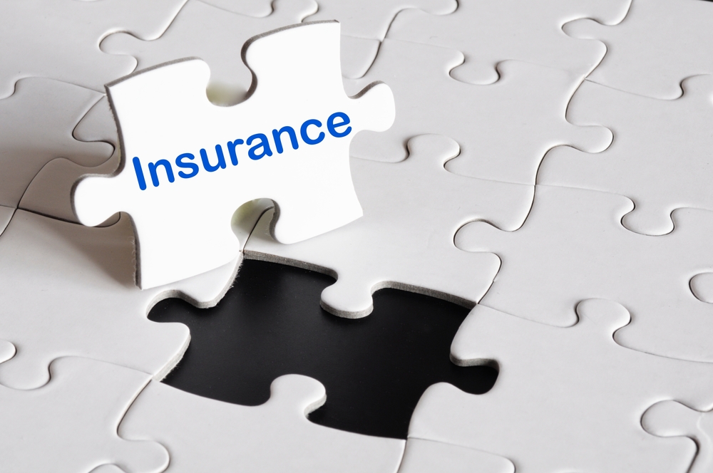 SkiSafe Insurance Review